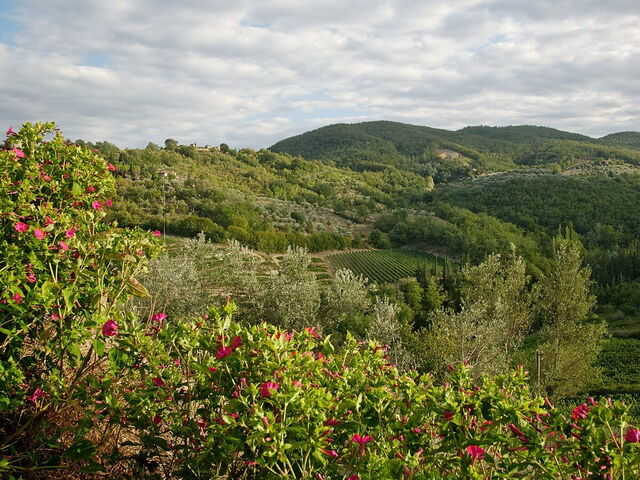 Montefioralle, Landschaft