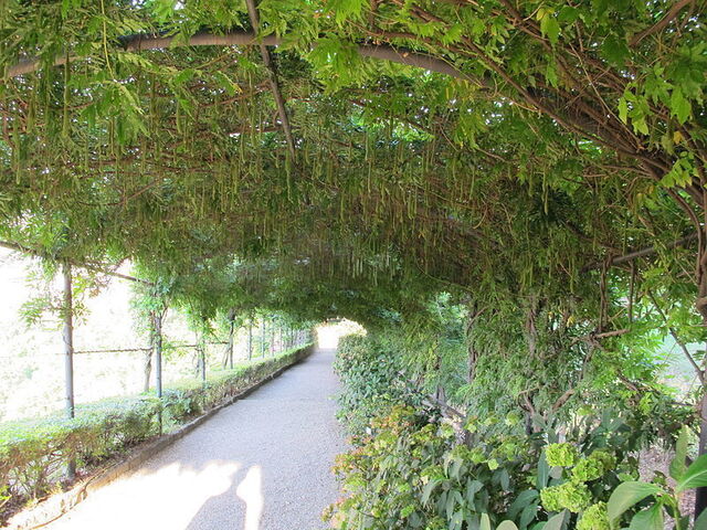 Pflanzen im Giardino Bardini
