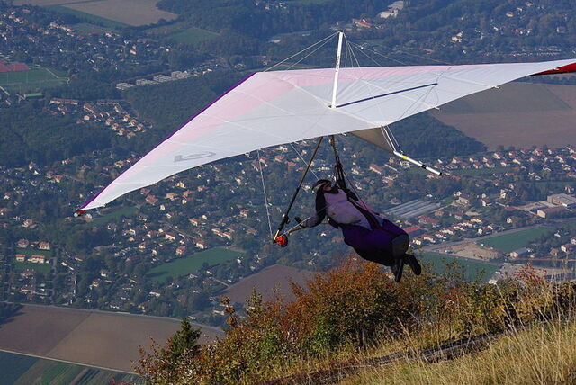 Drachenfliegen