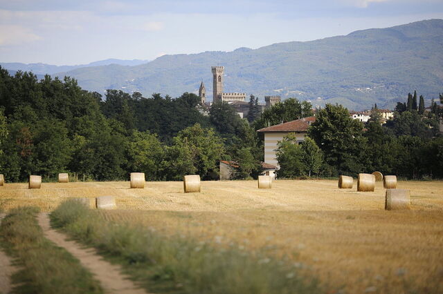 Aussicht um die Villa Agata