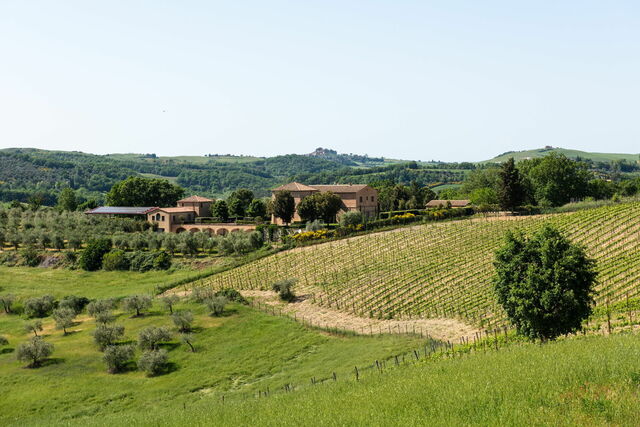 Die Landschaft um das Podere D'Asso