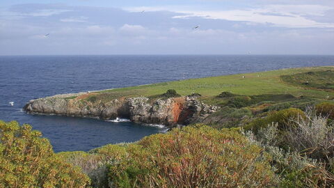 Insel Giannutri