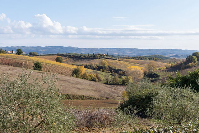 Villa L'elsa schönes Landhaus, Aussicht