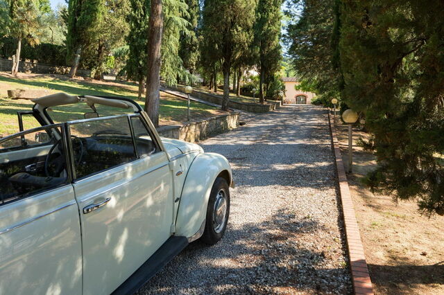 Villa Carniani, Einfahrt
