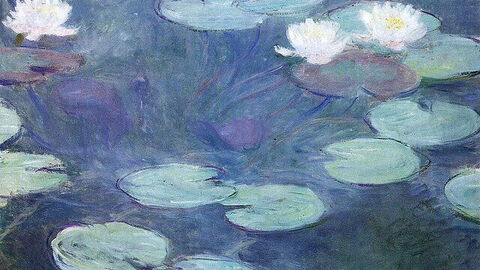 Seerosen, Monet