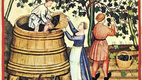 Weinernte im Mittelalter