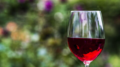 Wein