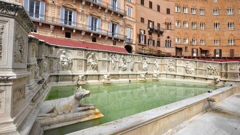 Fonte Gaia