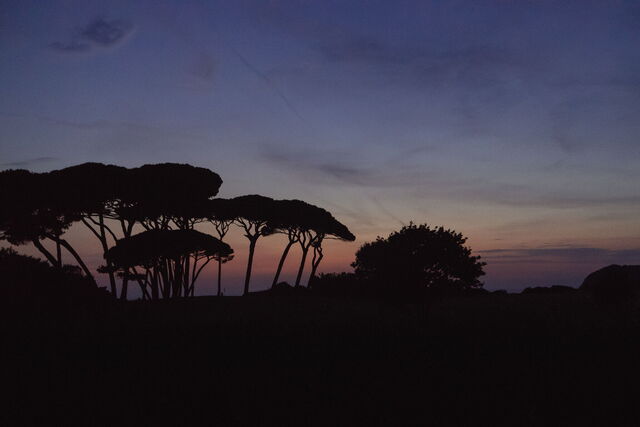 Baratti bei Nacht