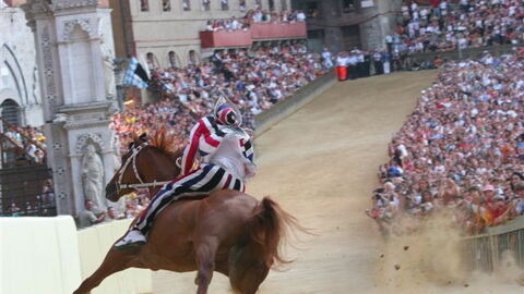 Pferderennen von Palio von Siena