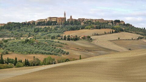 Blick auf Pienza