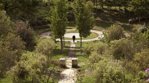 Bosco della Ragnaia