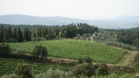Aussicht von Val di Chiana
