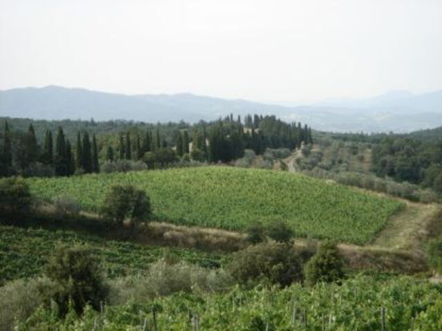 Aussicht von Val di Chiana