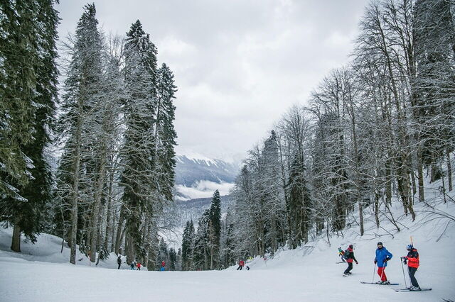 Skifahren im Wald