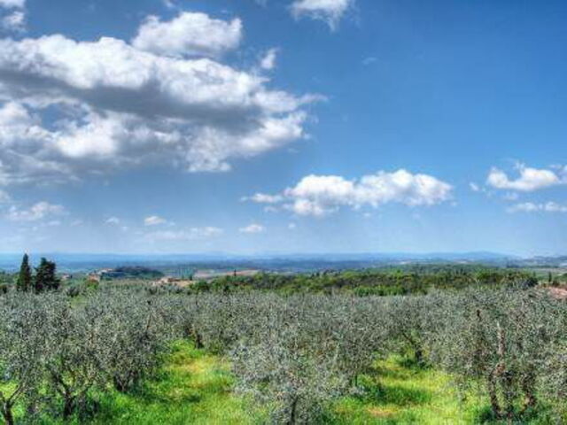 Aussicht an die Landschaft um Castelnuovo Berardenga