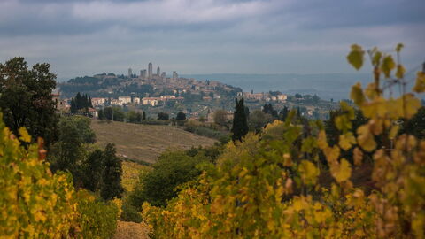 Blick auf San Gimignano
