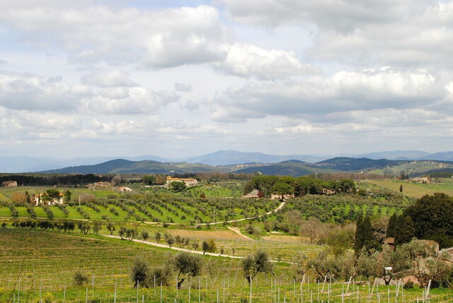 Toskanische Landschaft