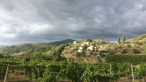 Weinberg