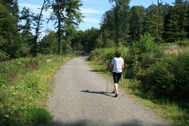Nordic Walking Pfad