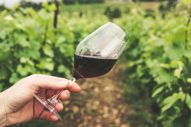 Auf einem Weinberg