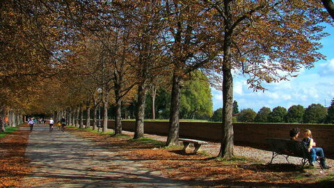 Lucca Stadtmauern