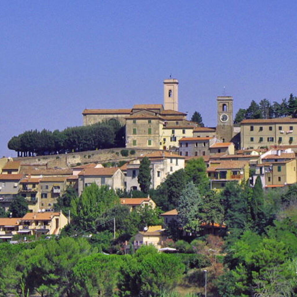 Luca C.
