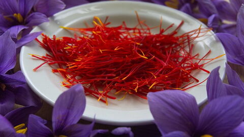Safran