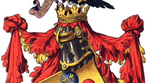 Das Medici Familien Wappen