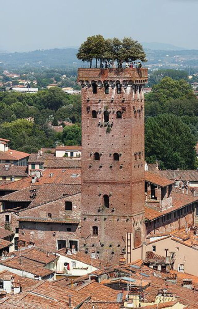 Lucca's Guinigi Turm