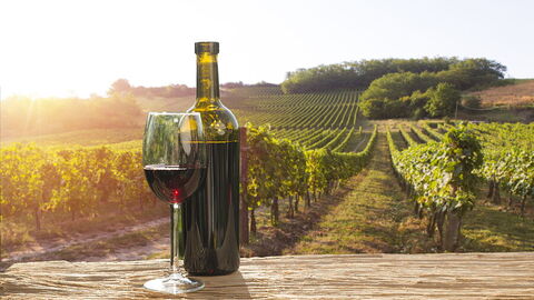 Wein in Chianti