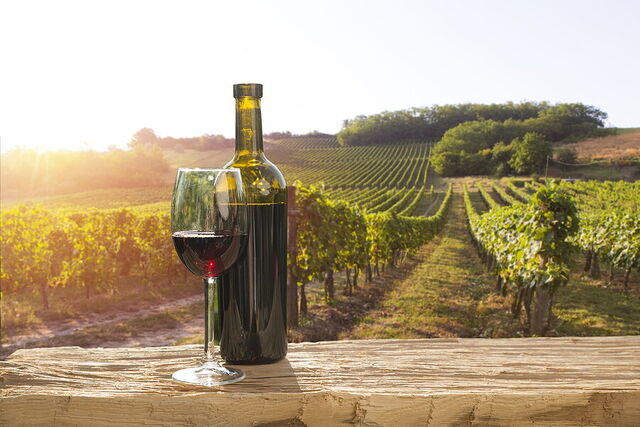 Wein in Chianti