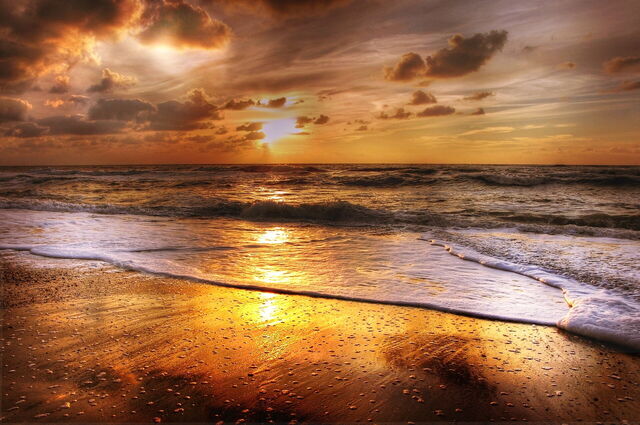 Strand