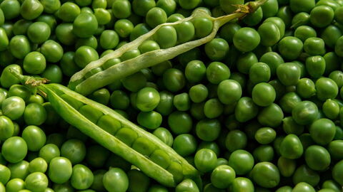 Erbsen