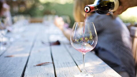 Wein
