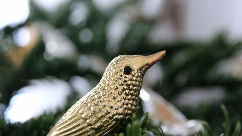 Goldener Vogel