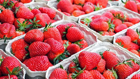 Erdbeeren