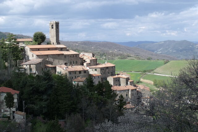 Castelnuovo Val di Cecina Ansicht