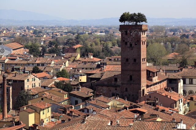 Ansicht von Torre Guinigi