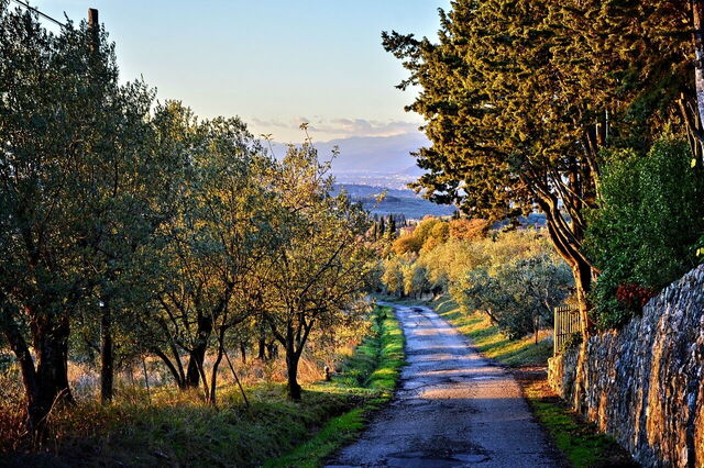 Eine Straße in Chianti