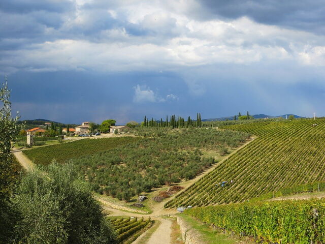 Chianti Landschaft