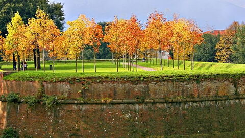 Lucca Mauern des Stadtgartens