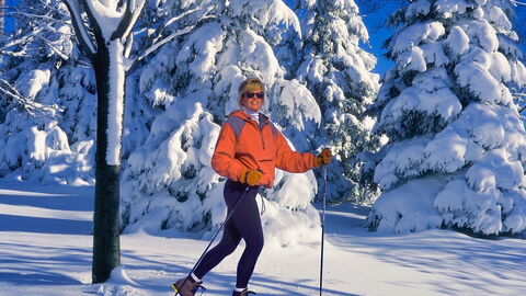 Skifahren