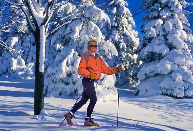 Skifahren