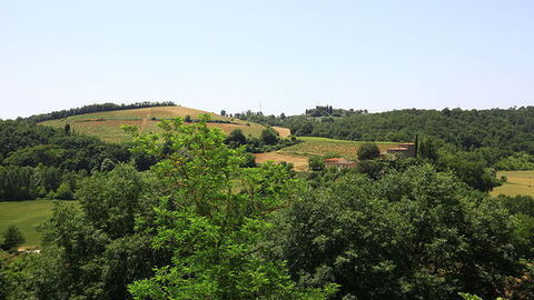 strozzavolpe