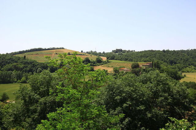strozzavolpe