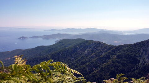 Aussicht auf Elba