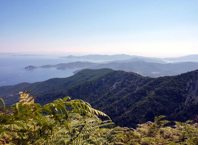 Aussicht auf Elba
