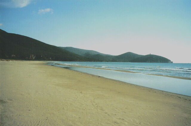 Marina di Alberese in Grosetto