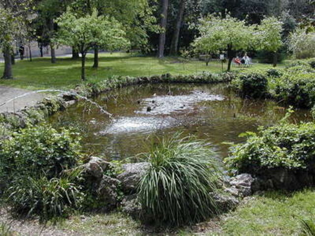 Teich in den Botanischen Gärten, Pisa